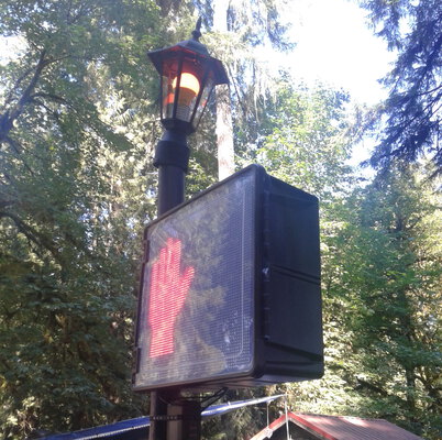 A closeup of a black crosswalk box attached to a pole with a light on it in the forest. The sign displays a red hand.
